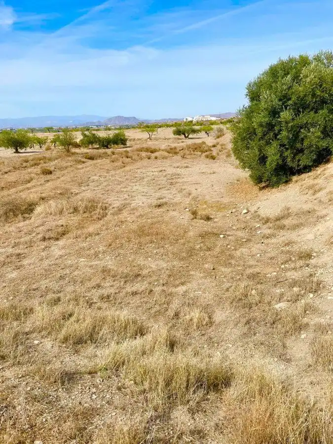 Rural land for sale in Huércal-Overa, imagen 2