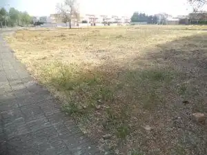Terreny residencial en venda a Calle Castaño, imagen 11