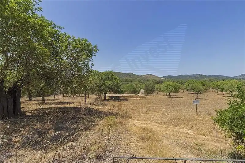 Country homes for sale in Manacor  with Private garden and Terrace