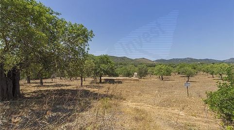 Photo 4 of Country homes for sale in Manacor Centre, Manacor