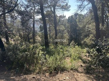 Terreno residenziale in vendita a Calle Camí del Moliner 59