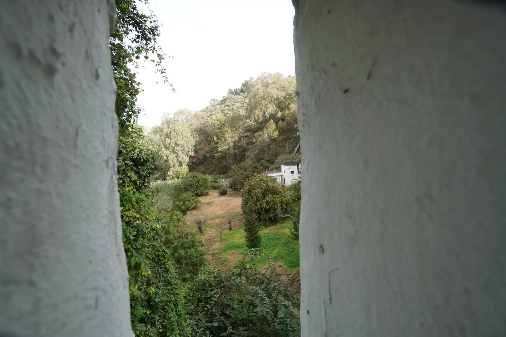 Jardí de Finca rústica en venda en Teror amb Jardí privat i Terrassa