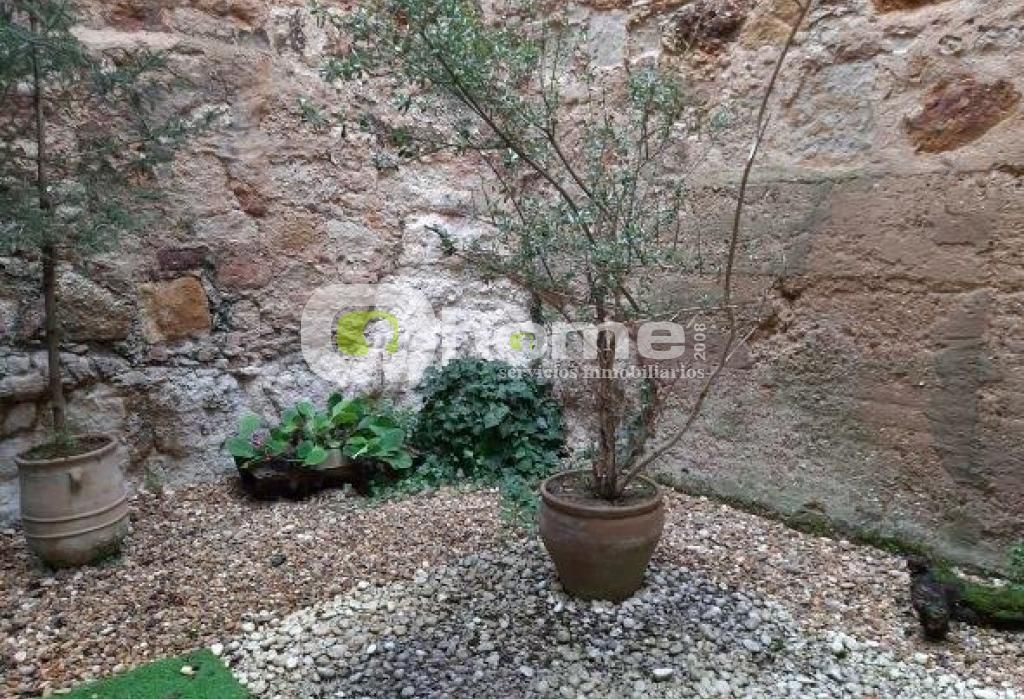 Jardí de Casa o xalet en venda en Zamora Capital  amb Parquet i Terrassa