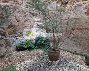 Jardí de Casa o xalet en venda en Zamora Capital  amb Parquet i Terrassa