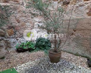 Jardí de Casa o xalet en venda en Zamora Capital  amb Terrassa