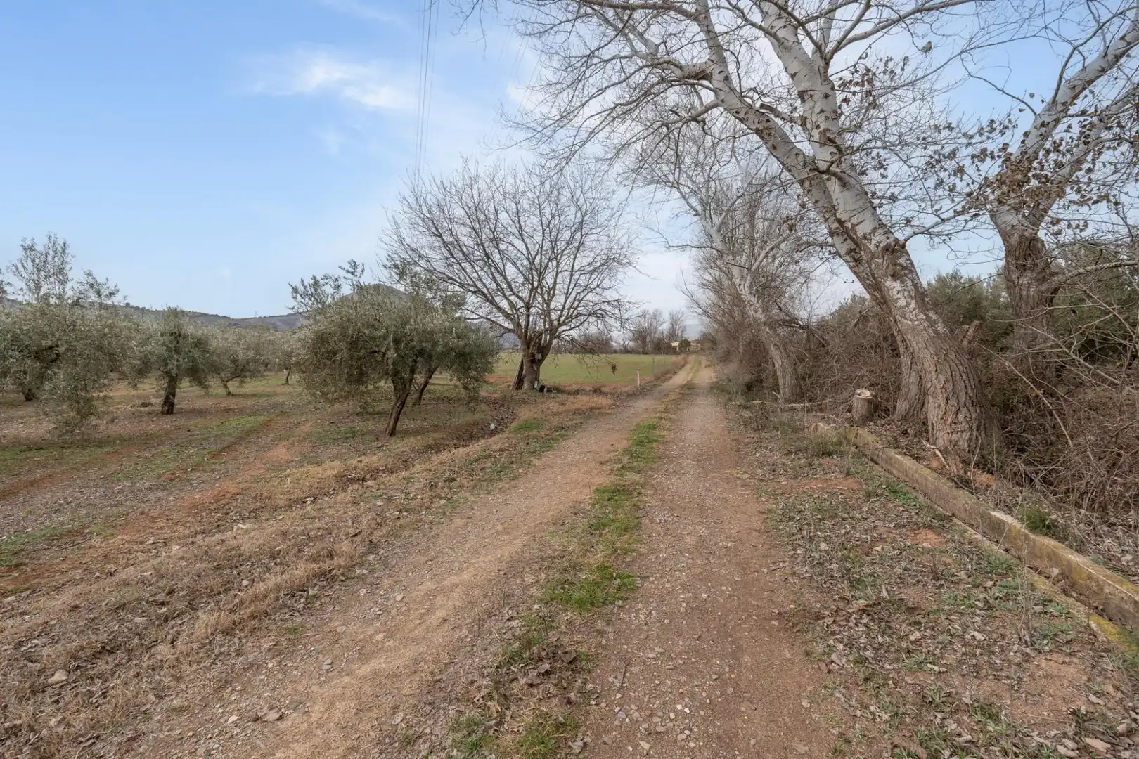 Terrenys i solars en venda a Polígono 23 Parcela 63 LA ZANJA. ALBOLOTE (GRANAD 23, imagen 4