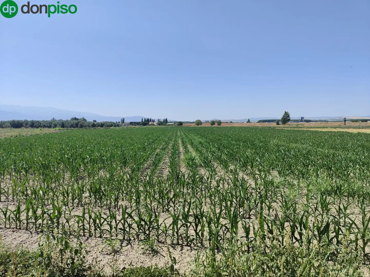 Terreni e lotti in vendita a Carretera Carretera de Pinos Puente, imagen 6