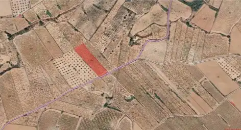 Terrain rustique à vendre à Requena, imagen 4