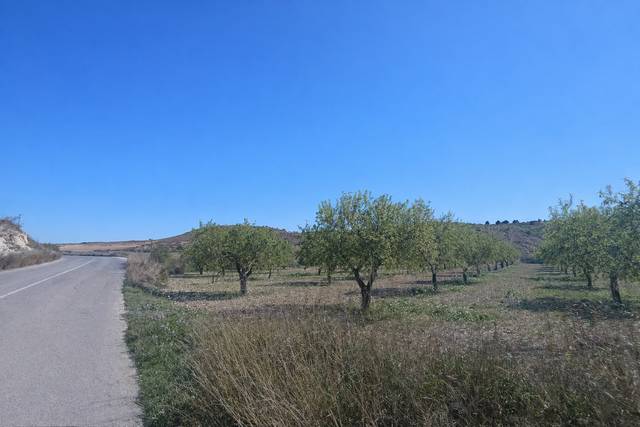 Terreno en Venta en Barqueros