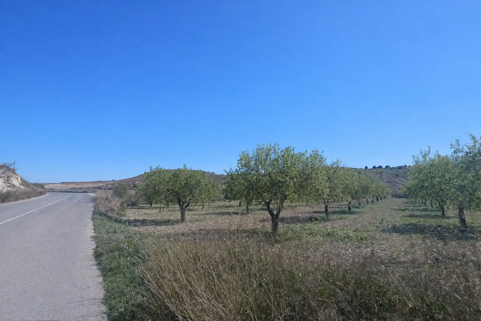 Terreno en venta en Murcia
