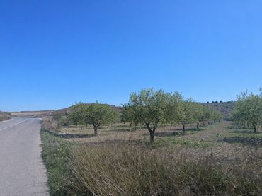 Terreno rustico in vendita a Pedanías Oeste