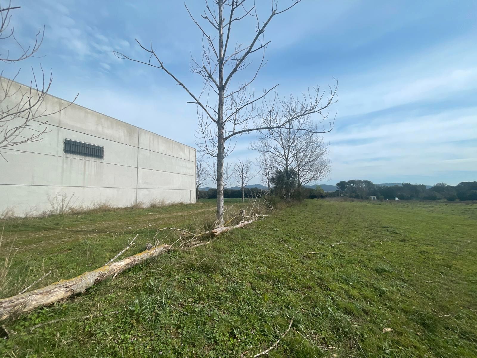 Industrial buildings for sale in Palafrugell