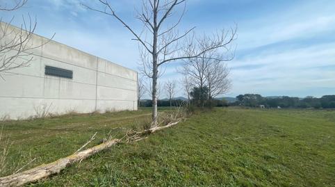 Photo 5 of Industrial buildings for sale in Carrer Barceloneta, Llofriu, Girona