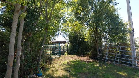 Foto 2 de Finca rústica en venda a Camino de Les Vegues, 836, Bernueces, Asturias