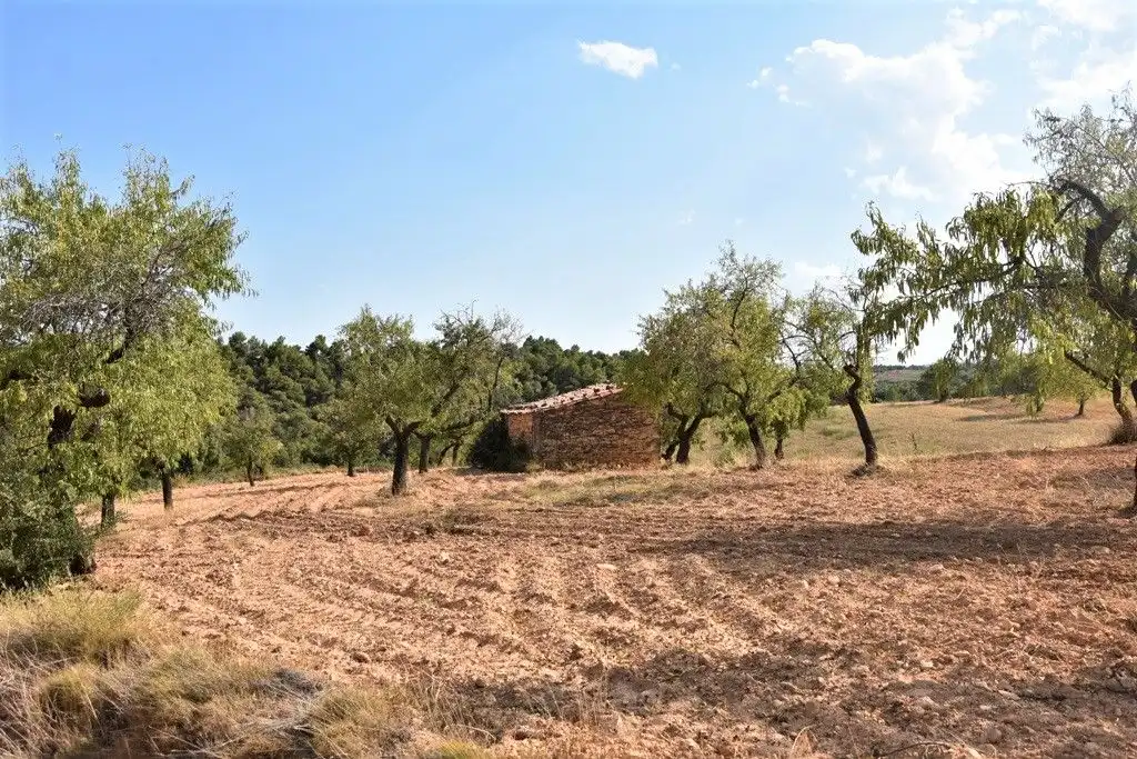 Terreni e lotti in vendita a Cretas, imagen 12
