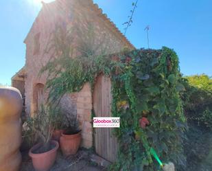 Garden of Country house for sale in Riudoms  with Terrace and Swimming Pool