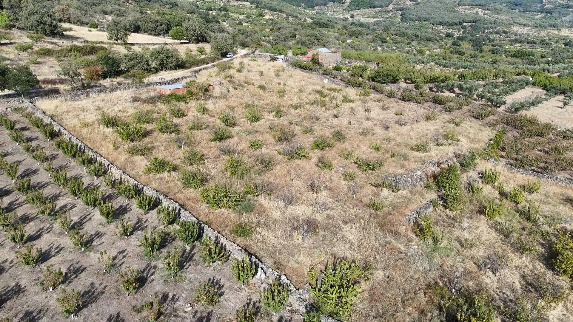 Terrain rustique à vendre à Avenida Extremadura 72, imagen 20