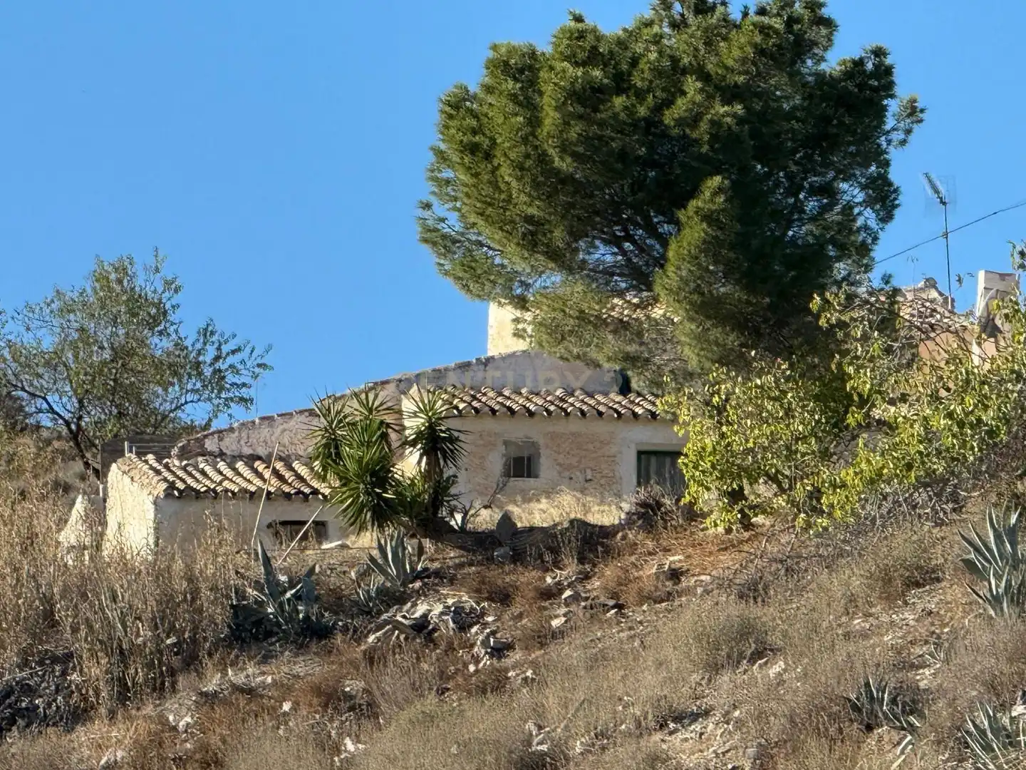 Casa o xalet en venda a BR RAMB-BANCALEJOVELEZ-RUBIO (ALMERÍA), -1, Vélez-Rubio