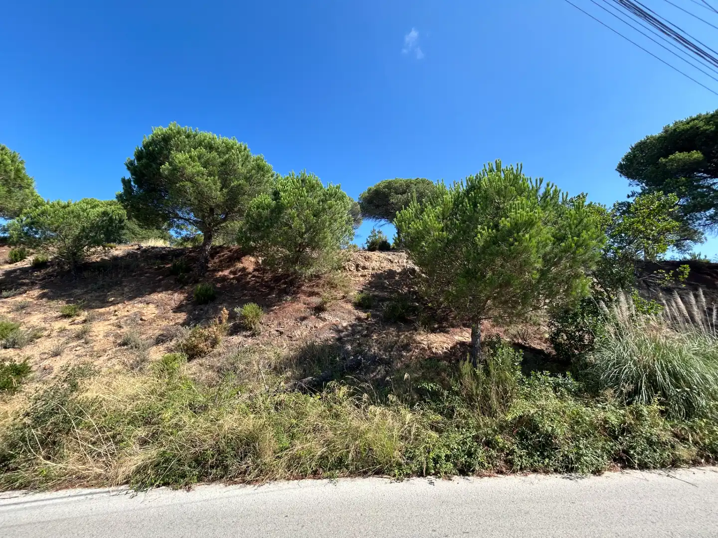 Residential land for sale in Avinguda de la Senyera 27, imagen 3