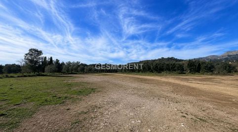 TERRENO RÚSTICOAGRARIO EN ALQUILER EN SELVA