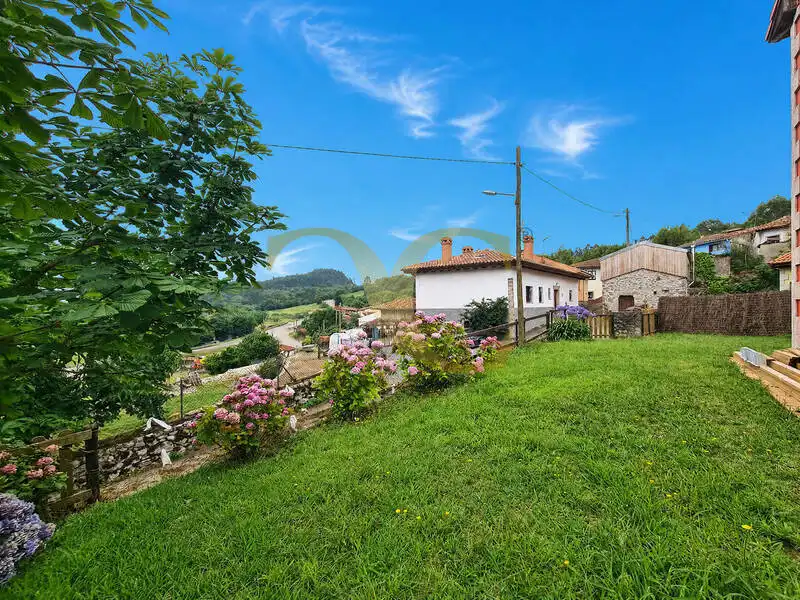Villa con giardino in vendita a Bones, imagen 48