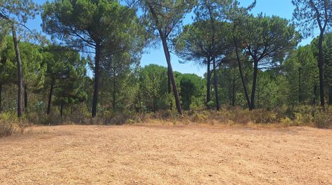 FINCA RUSTICA BEAS, immagine 4