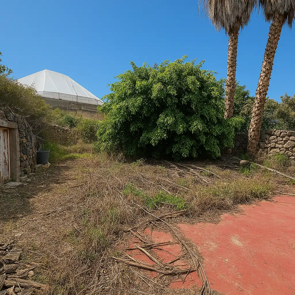 Casa o chalet en venta en Güímar con Jardín privado y Piscina