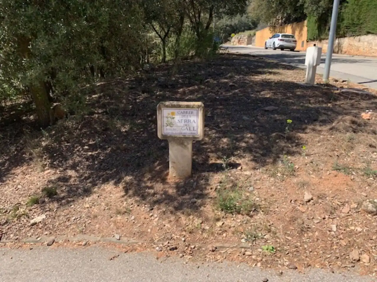 Rural land for sale in Calle de la serra del gall