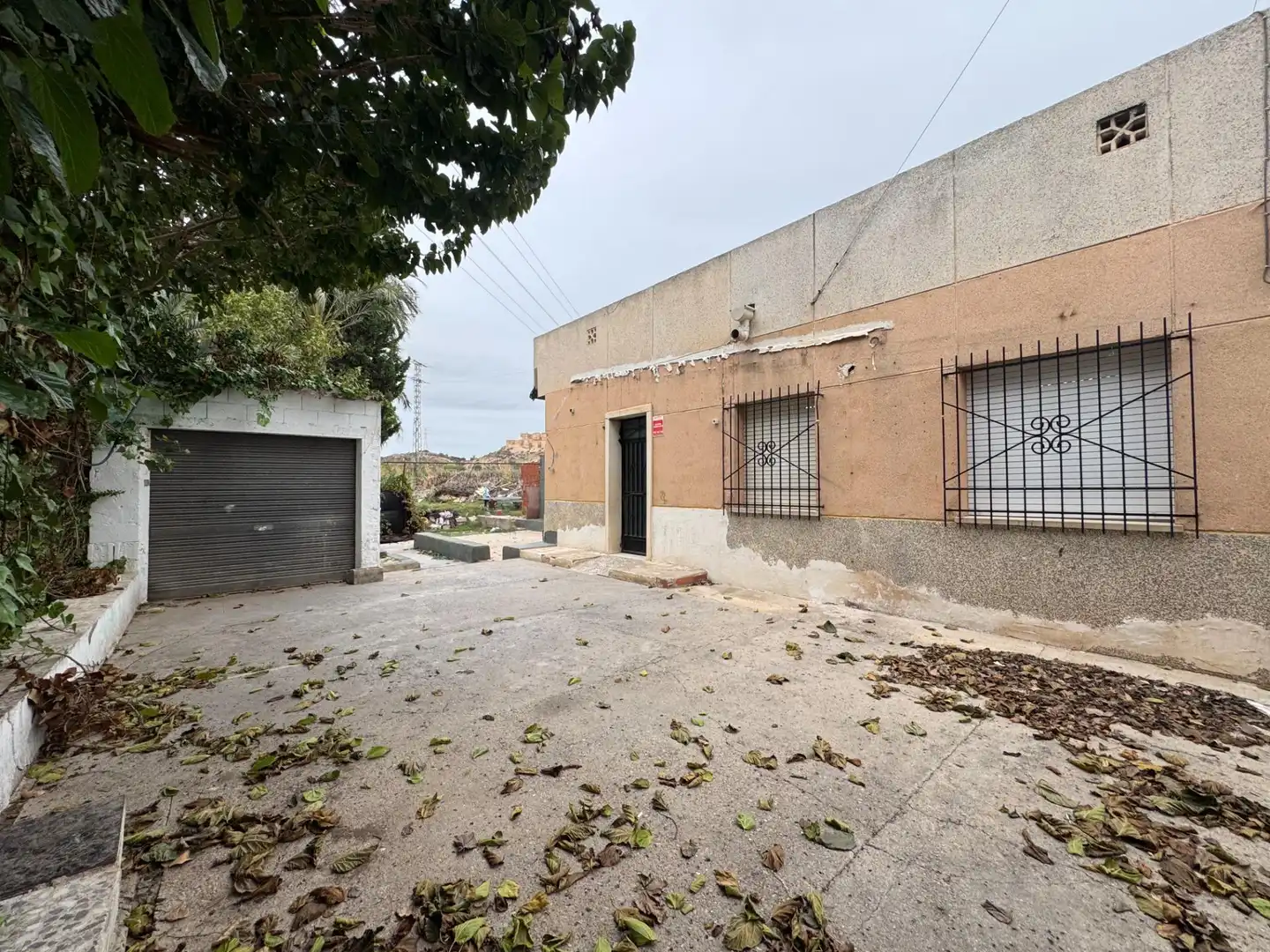 Vista exterior de Finca rústica en venta en Murcia