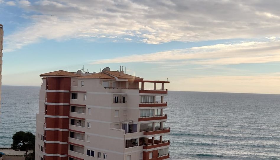 Apartamento en venta en Playa Arenal - Bol - 4
