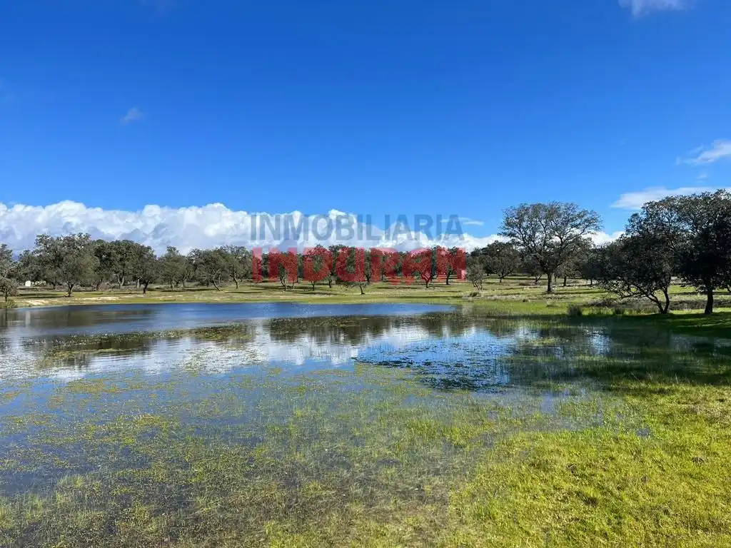 Finca rústica en venta en Tiétar
