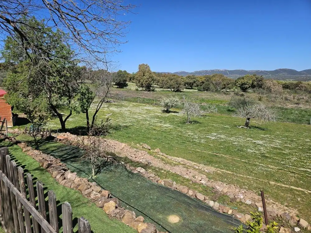 Jardí de Casa o xalet en venda en Agudo, Ciudad Real