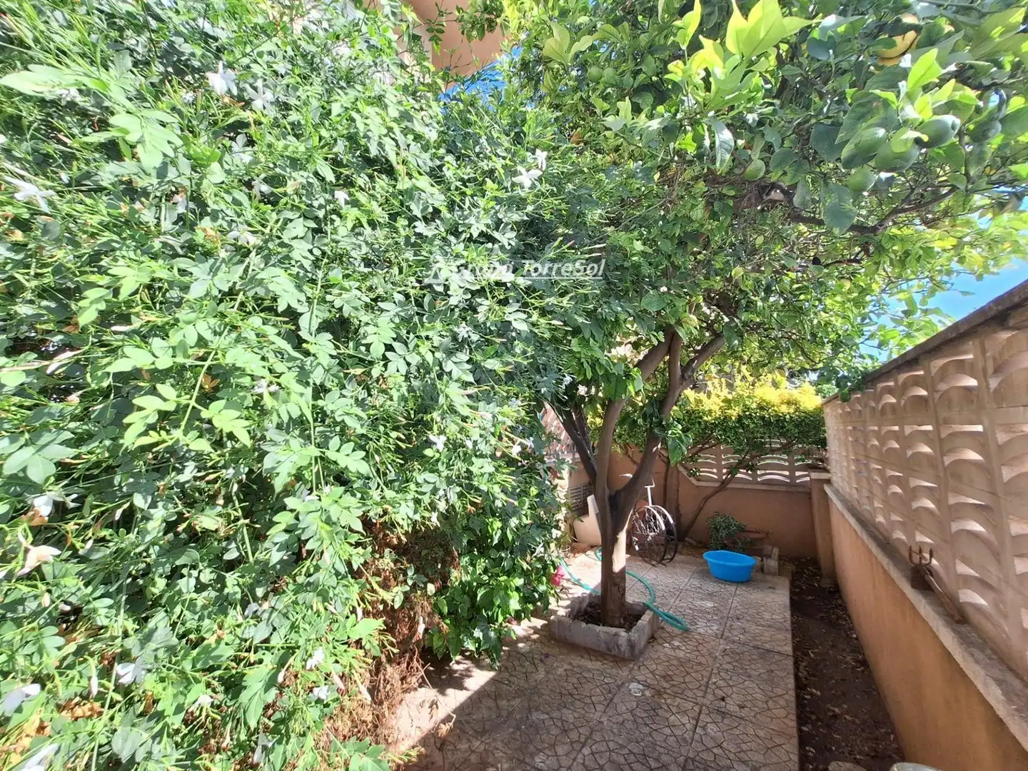Appartement à vendre à RAVAL DEL TORRENT, imagen 32