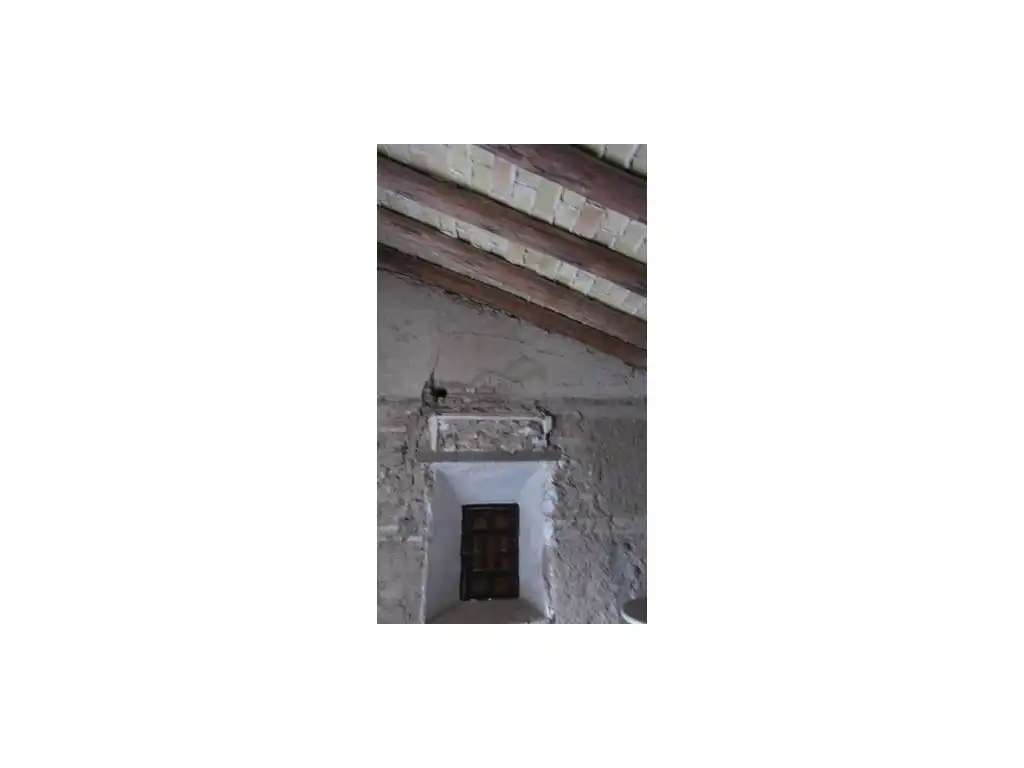House for sale in El Coronil, imagen 3