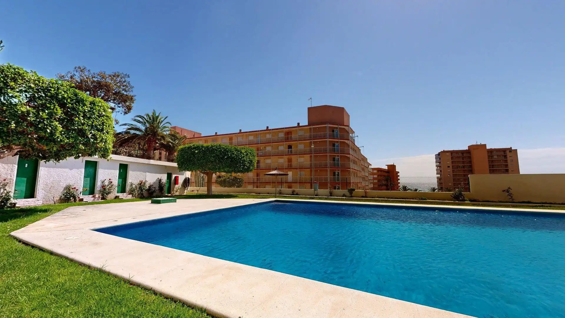 Piscina de Apartament de lloguer en Elche / Elx amb Aire condicionat, Calefacció i Jardí privat