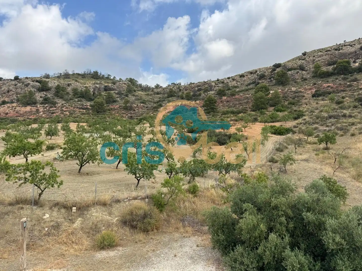 Detached homes for sale in Lorca  with Air Conditioner, Private garden and Terrace