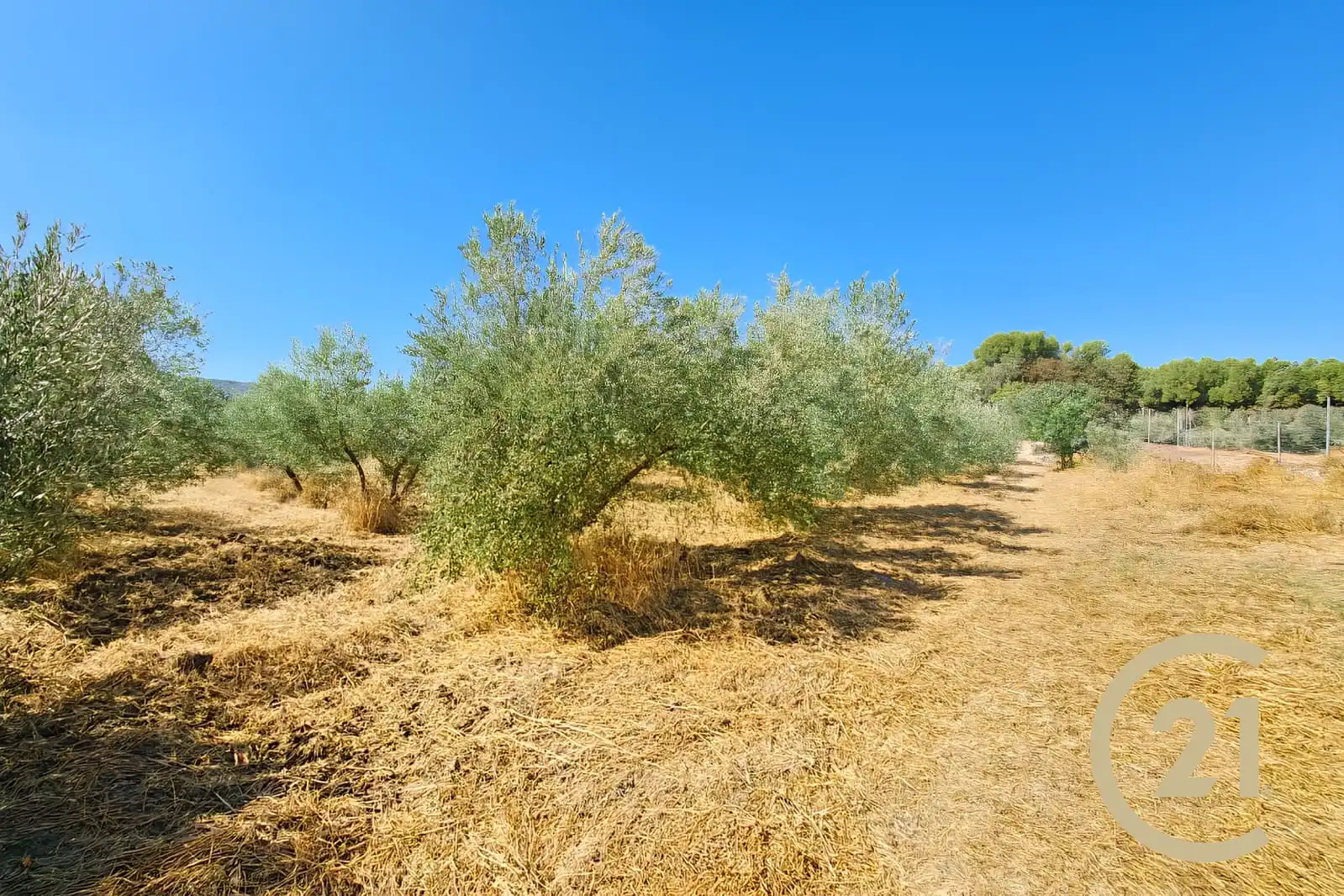 Casa o chalet en venta en Ronda con Calefacción, Jardín privado y Terraza