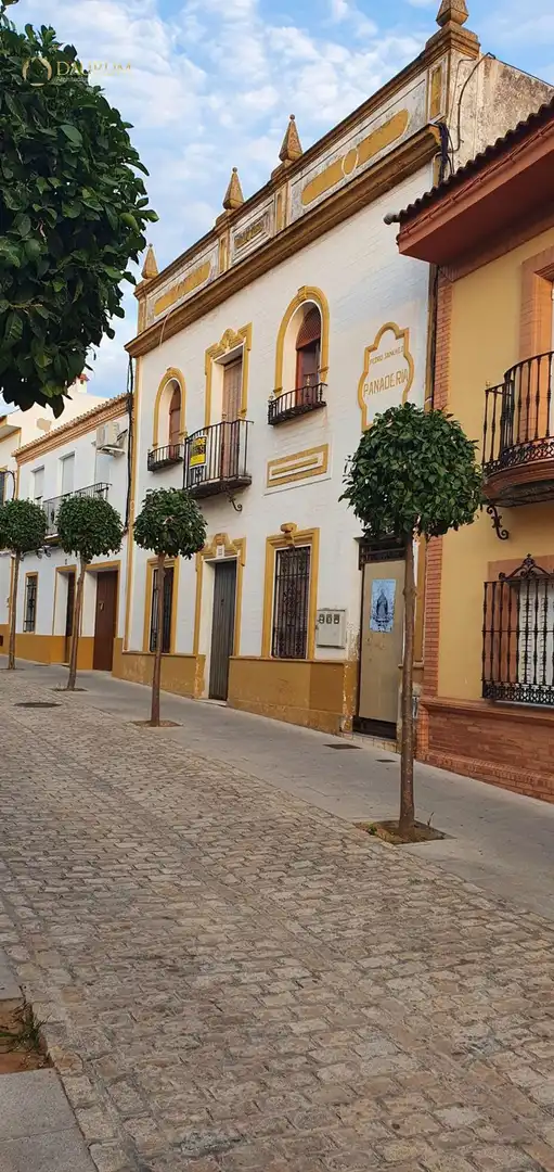Vista exterior de Casa o chalet en venta en Bormujos con Terraza, Piscina y Piscina comunitaria