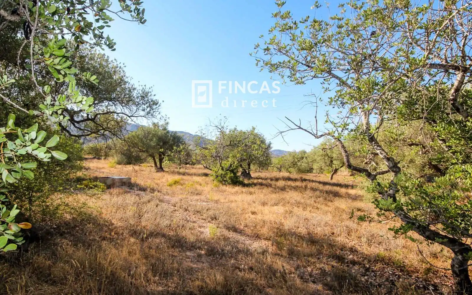 Country homes for sale in Xerta
