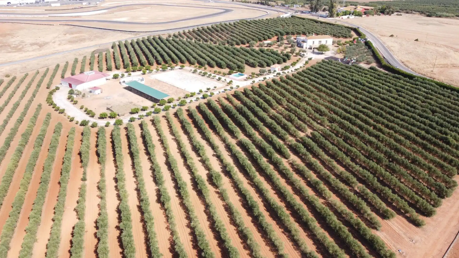 Jardín de Finca rústica en venta en Carmona con Calefacción, Jardín privado y Terraza