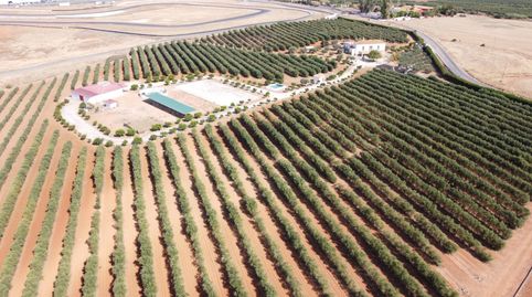 Foto 5 de Finca rústica en venta en Carretera Diseminados 2, Carmona, Sevilla