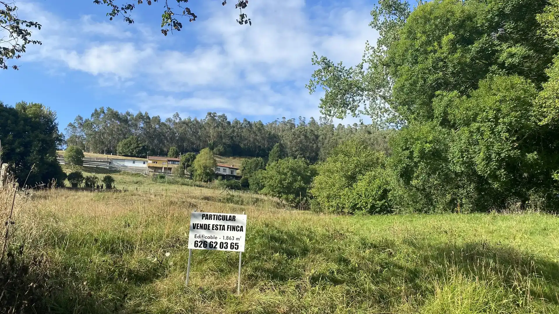 Pis en venda en Llanera