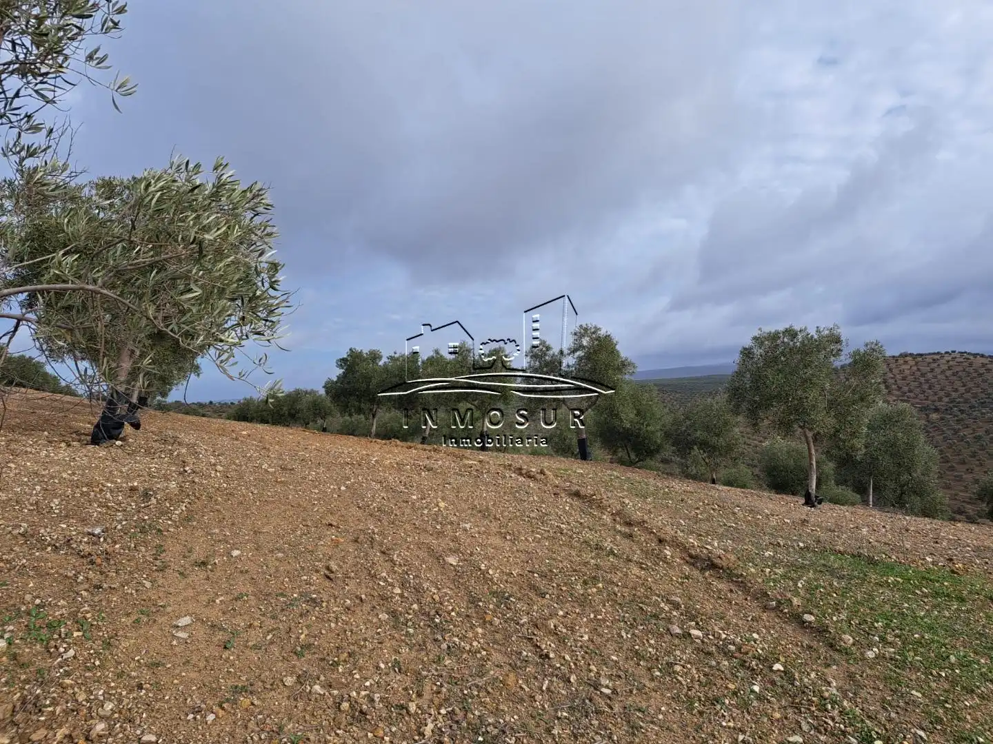 Terrenys i solars en venda a Benamejí, imagen 6