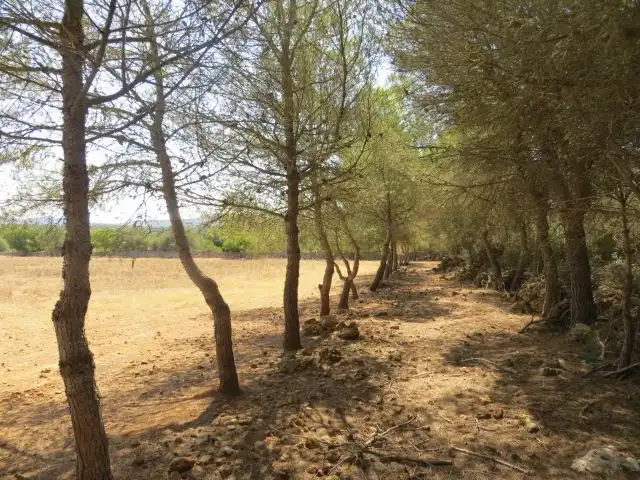 Residencial en venta en Campos