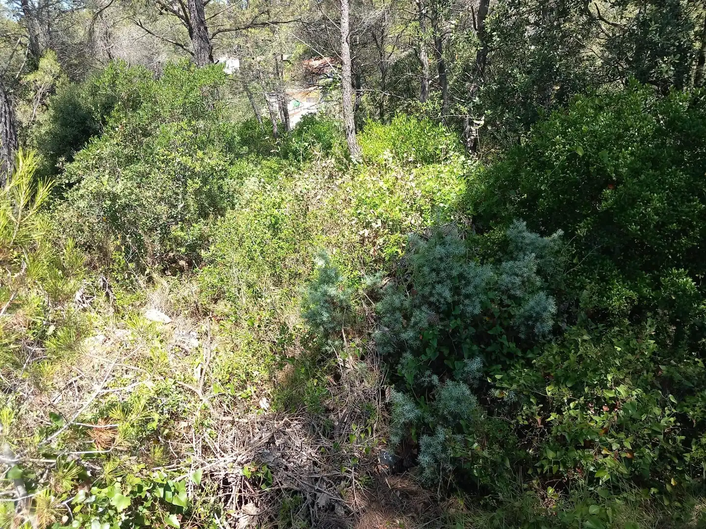 Residential land for sale in Torrelles de Foix, imagen 5
