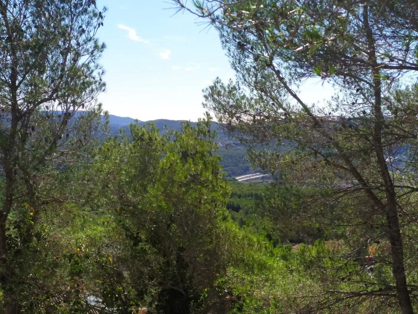 Terrenys i solars en venda a Canyelles, imagen 5