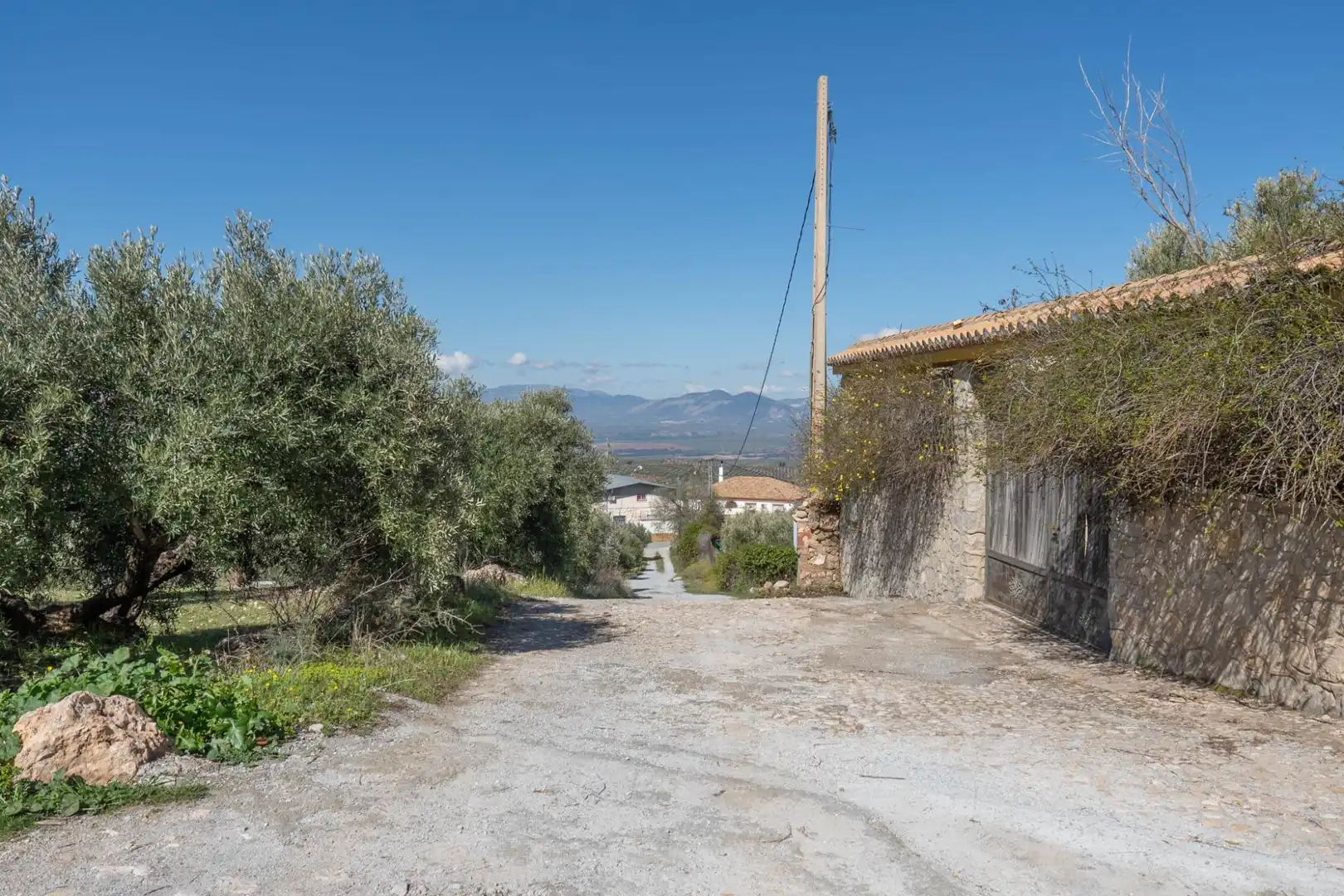 Terreni e lotti in vendita a Cogollos de la Vega, imagen 19