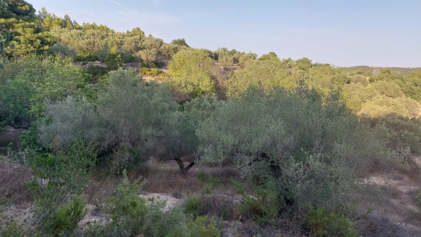 Terreno rustico in vendita a El Perelló, imagen 6