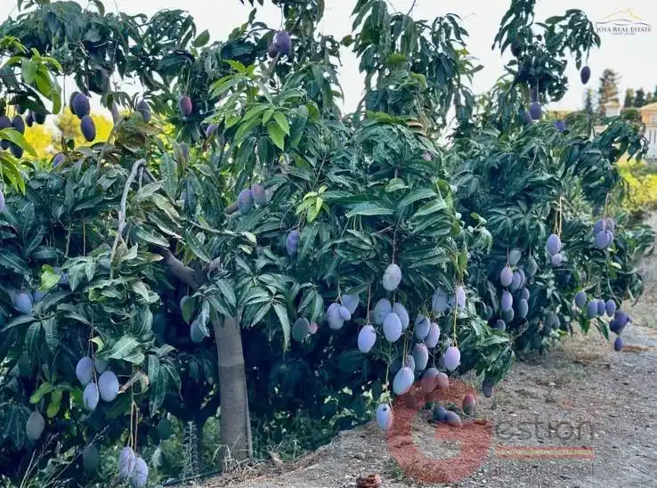Terreni e lotti in vendita a Monte los Almendros - El Pargo - Costa Aguilera