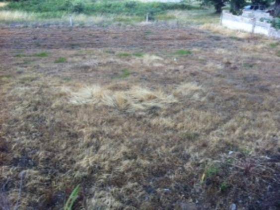 Terreno residencial en Venta en Corullón